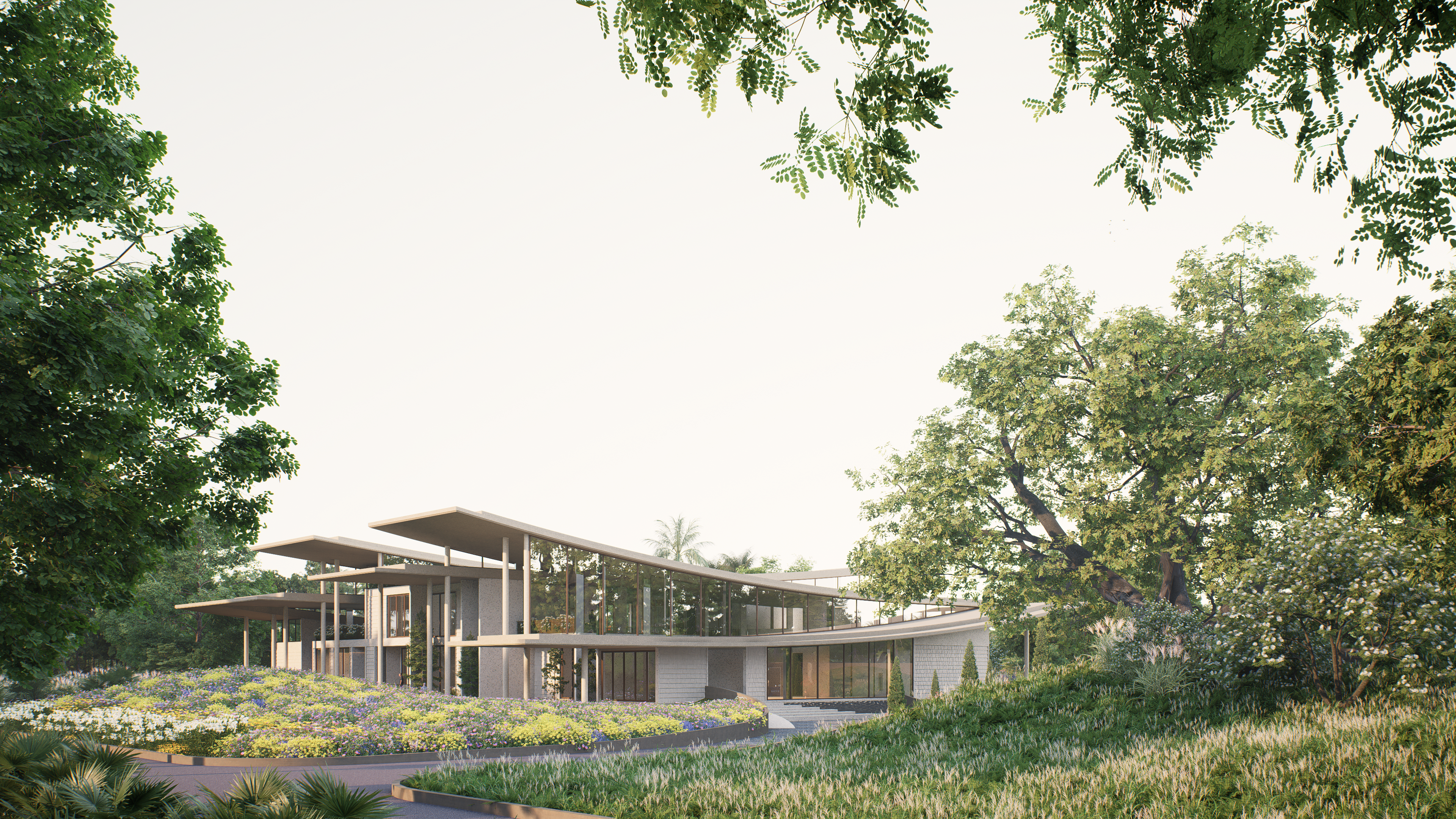 Modern residence framed by landscape and trees